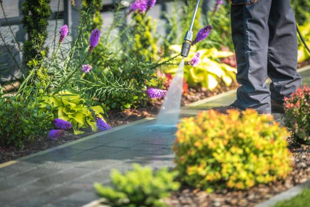 Best House Exterior Washing  in Montrose, MI