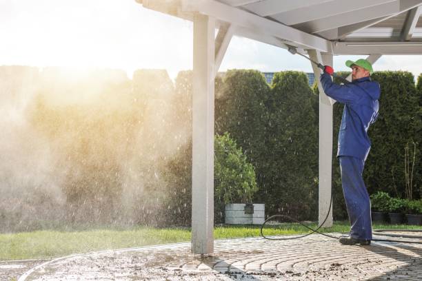 Best Soft Washing  in Montrose, MI