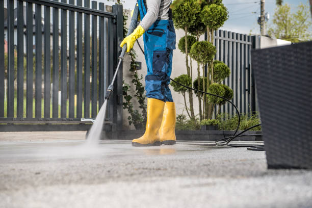 Best Patio and Deck Pressure Washing  in Montrose, MI