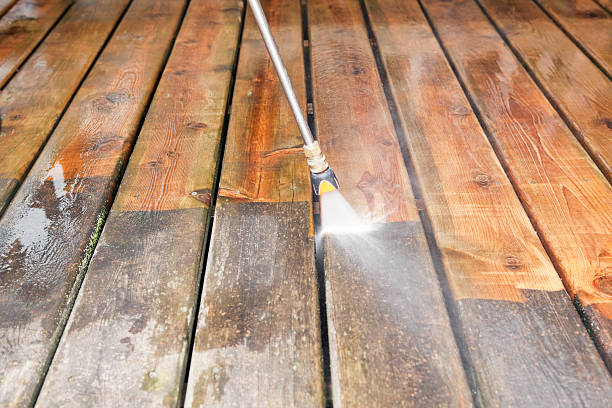 Best Spring Cleaning  in Montrose, MI