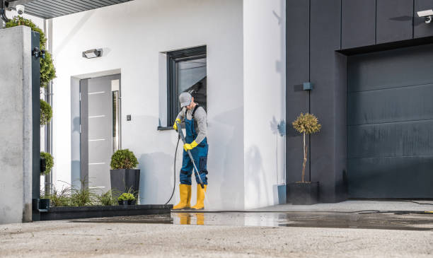 Best Boat and Dock Cleaning  in Montrose, MI