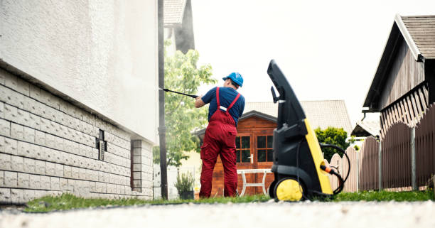 Best Sidewalk and Walkway Cleaning  in Montrose, MI
